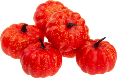 Zdjęcie produktu dla Tg72992-3 Sztuczne Dynie 6 Sztuk Zestaw Dekoracyjny Jesienny Halloween