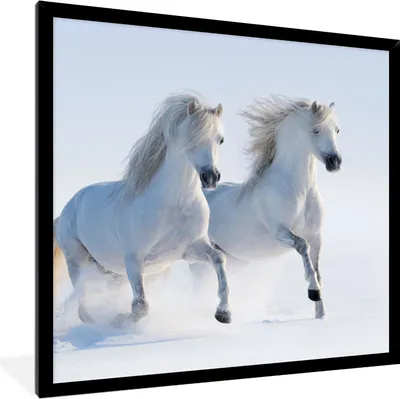Produktbild von MuchoWow® Gerahmtes Poster Winter - Pferde - Schnee 40x40 cm - Poster mit Schwarzem Bilderrahmen Wandposter Rahmen Foto Bilder - Mit Rahmen - Wanddekoration Schlafzimmer