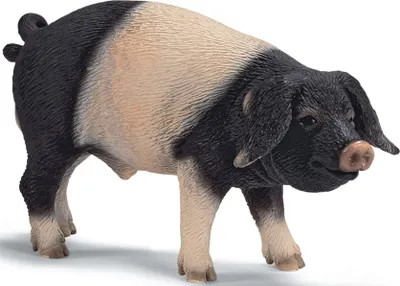 Obrázok produktu pre schleich 13643, 3 rok / roky, Ružová, Čierna, Plast