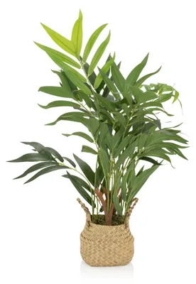 Produktbild von bümö plants Kunstpflanze Bergpalme (Bambuspalme)