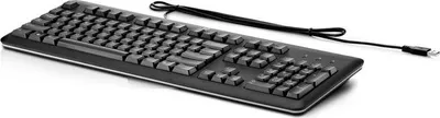 Produktbild von HP QY776AT, Volle Größe (100%), Kabelgebunden, USB, Membran Key Switch, Schwarz