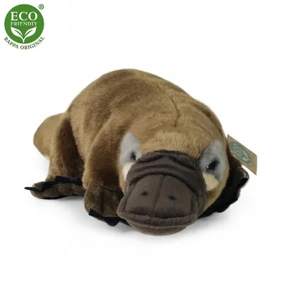 Produktbild von Rappa - 211582 - Schnabeltier, Plsch, 44cm x 20cm x 11cm, Handwsche, ECO-Friendly