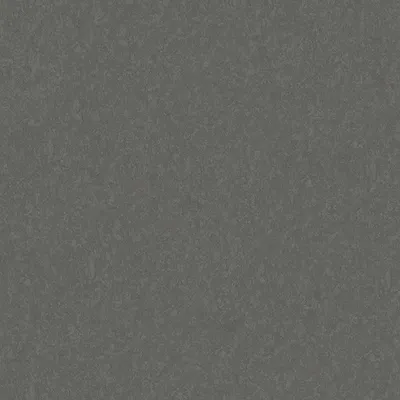 Produktbild von A.S. Creation AP Longlife Colours | 305641 | Vliestapete Einfarbig | 1.06 m x 21 m | Grau
