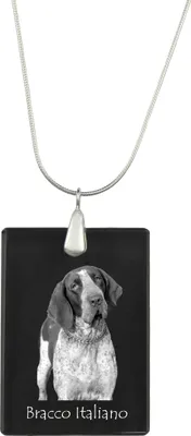 Produktbild von Italienischer Vorstehhund, Bracco Italiano - Kristallanhänger mit Hund, Silberhalskette mit Foto, personalisierter Anhänger der Marke Art-Dog
