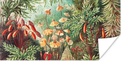 Produktbild von MuchoWow® Poster Blumen - Kunst - Vintage - Natur - Botanisch 40x20 cm - Poster für die Wand - Poster Schlafzimmer