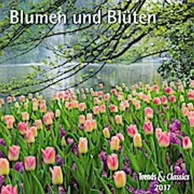 Produktbild von Magier. Band 2