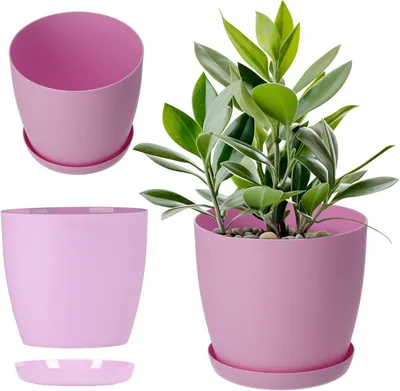 A pink plant pot with a saucer and a plant inside, shown from multiple angles.