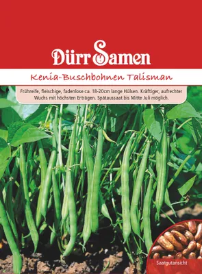 Produktbild von Kenia-Buschbohne Talisman | Kenia-Buschbohnensamen von Dürr Samen