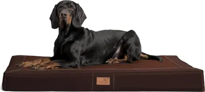 Produktbild von tierlando® OSCAR VISCO Orthopädische Hundematratze Kunstleder Velours Hundebett - Größe: 100x80cm | Farbe: 01 Braun