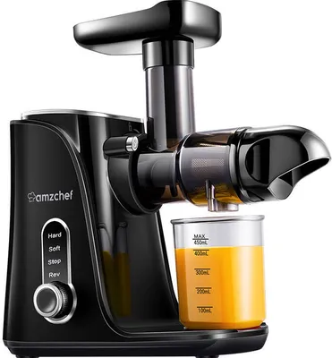 Image de Amzchef Gm3001-Bk Presseur lent (noir)