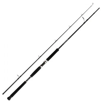Produktbild von Shimano Fishing Beastmaster Ax Pilk Jiggingrute Silber 2.40 m / 40-95 g Silber 2.40 m