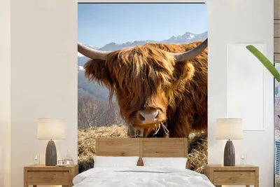 Produktbild von MuchoWow® Fototapete für Wohnzimmer oder Schlafzimmer Wandtapete Vinyl Motivtapete Schottischer Highlander - Berg - Schnee - 170x260 cm - Wohnzimmertapete