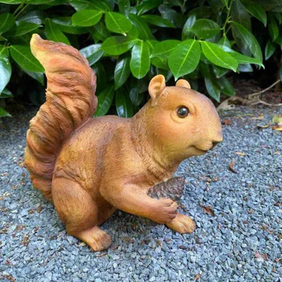 Immagine prodotto di Statua da giardino Scoiattolo con pigna in mano 17 cm