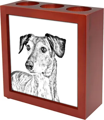 Produktbild von Saluki, Persischer Windhund - Stifthalter mit Hund, Schreibtischorganizer mit Aufdruck, personalisierte Schreibtischdekoration der Marke Art-Dog