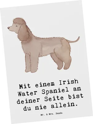 Produktbild von Mr. & Mrs. Panda Postkarte Irish Water Spaniel Begleiter - Weiß - Geschenk, Hunderassen, Beschreibung, Postkarten, kräftige Statur, unvergessliche Momente, Hunde, treuer