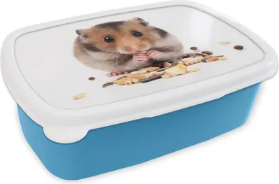 Obrázek produktu pro KitchenYeah® Lunchbox Obědový box 17x11 cm Křeček jí semínka Dětský obědový box - Oběd - Plastový - Sendvičový box - Obědový box pro děti