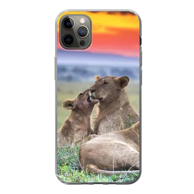 Produktbild von MuchoWow® Handyhülle Schutzhülle Hülle für iPhone 12 Pro Max Löwen bei Sonnenaufgang Silikon Softcase Handy Hülle - Hartschale