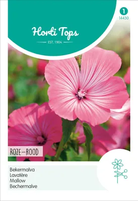 Artikelbild 2 von 'Bechermalve Rosa' aus der Kategorie Malvensamen