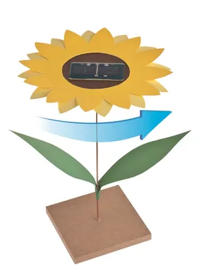 Produktbild von Solar-Sonnenblume