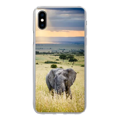 Produktbild von MuchoWow® Handyhülle Schutzhülle Hülle für iPhone Xs Elefant - Tiere - Landschaft - Sonne - Natur Silikon Softcase Handy Hülle - Handytasche