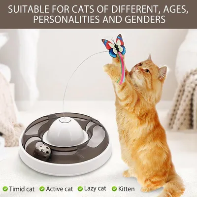 3-in-1 Elektrisches Interaktives Katzenspielzeug mit Schmetterling - Selbstbeschäftigung und Intelligenz für Katzen