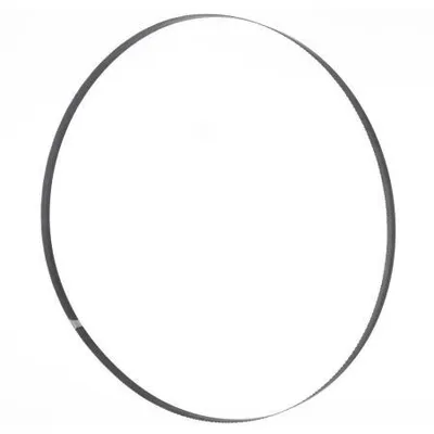 Immagine prodotto di Holzmann BSB500B8 Lama per sega 3500x8x0,65 mm 6 ZPZ