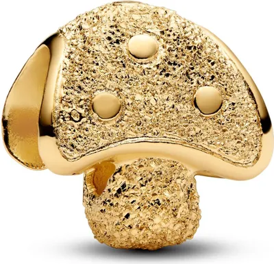 Immagine prodotto di PANDORA MOMENTS Charm Mini Fungo Texture placcato oro 764048C00