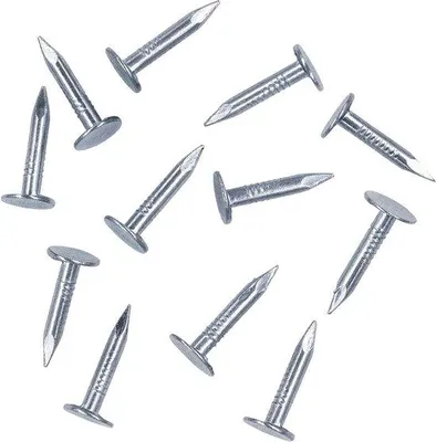 Image de Jeu de clous en acier Viltnagel, série 300, 20 mm, galvanisés, tête enfoncée