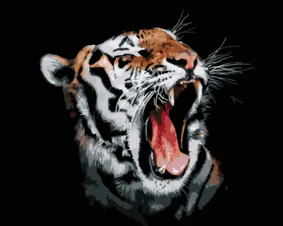 Zdjęcie produktu dla Zuty - Painting by Numbers - TIGER WITH OPEN COVER, 40x50 cm, bez ramy i bez zamknięcia płótna