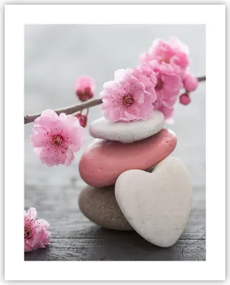 Produktbild von Poster - Poster ohne Rahmen - Yoga weiblich Blume Gesundheit - 40x50 cm - Wand Bild - Wanddeko - Wandbilder - Kunstposter - Wandposter - Bilder - Kunstdruck - Wandbild - P2XPA40x50-3178