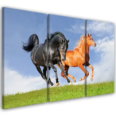 Produktbild von Triptychon auf leinwand tiere - blau 150x100 cm Feeby blau wandbild bereit zum aufhängen