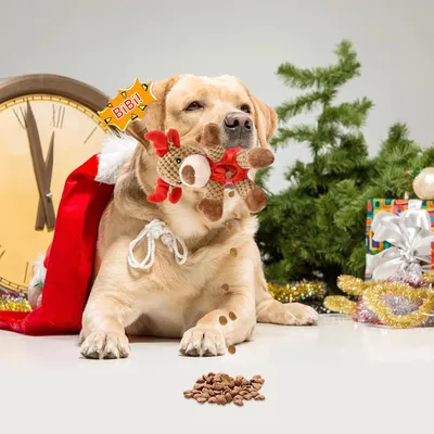 Produktbild von Weihnachten Hunde Kauwspeelzeug - Hundespielzeug mit Quietscher - Plüsch Hundespielzeug - Interaktives Kauwspeelzeug für Haustiere