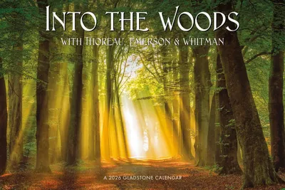Produktbild von Into the Woods