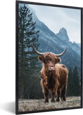 Produktbild von MuchoWow® MuchoWow® Gerahmtes Poster Berge - Winter - Schottische Hochlandrind 20x30 cm - Poster mit zchwarzem Bilderrahmen - Drucken - Bilder Poster im Rahmen