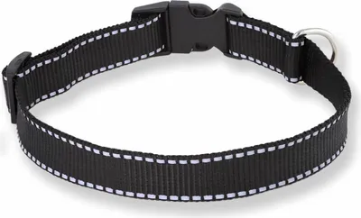 Produktbild von Monkimau Hundehalsband Große Hunde Leuchtend aus Nylon