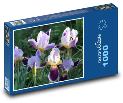 Zdjęcie produktu dla martinpuzzle - Puzzle 1000 - Kosatki w ogrodzie
