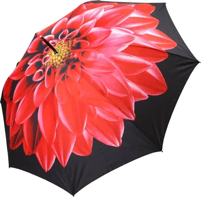 Produktbild von Regenschirm Stockschirm Damen Automatiköffnung Motiv Blume Blüte Rot Stabil