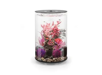 Produktbild von biOrb TUBE 30 LED schwarz (72066)