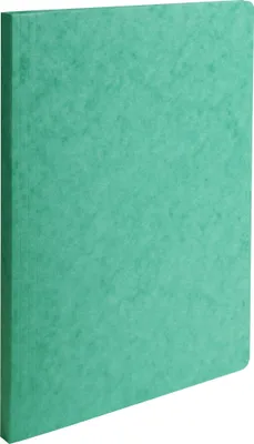 Image de Exacompta 50x Chemise a dos rainé Carte lustrée 400gm2 24x32cm Vert 11503H
