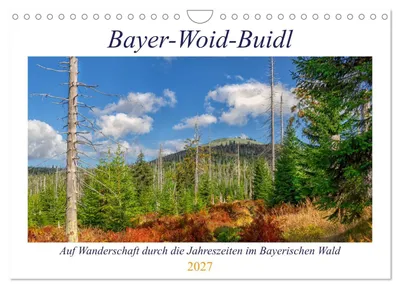 Produktbild von Bayer-Woid-Buidl (Wandkalender 2027 DIN A4 quer), CALVENDO Monatskalender