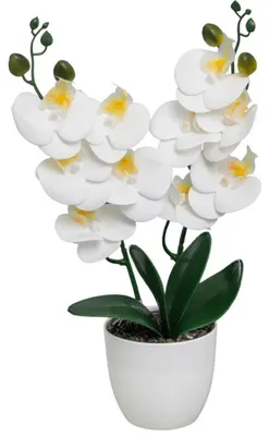 Obrázok produktu pre HowHomely, umelá orchidea, umelá rastlina, umelá kvetina, 39 cm, v kvetináči, biela, dekorácia, kuchyňa, boho štýl