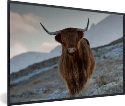 Produktbild von MuchoWow® Gerahmtes Poster Schottischer Hochländer - Landschaft - Schottland 90x60 cm - Poster mit Schwarzem Bilderrahmen Wandposter Rahmen Foto Bilder - Fotorahmen - Foto-Plakat