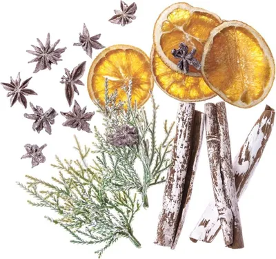 Image de Éléments naturels 19 pcs