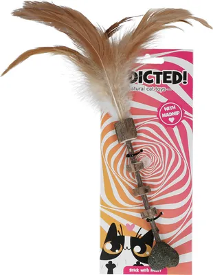 Immagine prodotto di Bastone addicted con cuore e piume
