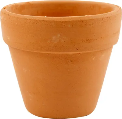 Immagine prodotto di Vaso di fiori