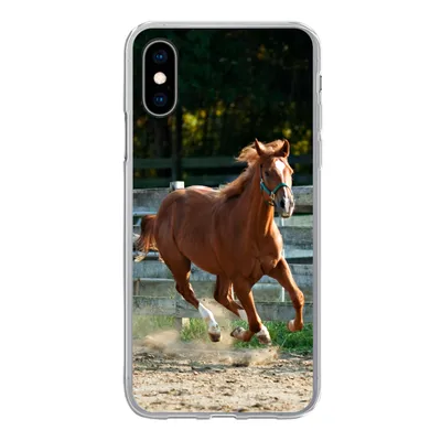Produktbild von MuchoWow® Handyhülle Schutzhülle Hülle für iPhone X Pferd - Licht - Sand Silikon Softcase Handy Hülle - Handyhülle