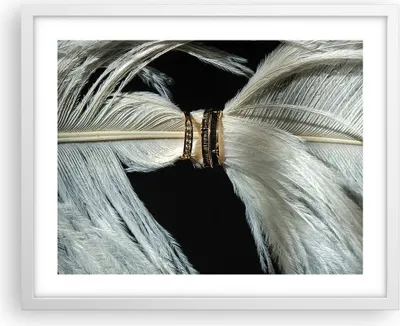 Produktbild von Gerahmtes Poster - Weißer Rahmen - Feder Romantik Ehe - 50x40 cm - Wand Bild - Wanddeko - Wandbilder - Kunstposter - Wandposter - Bilderrahmen - Bilder - Kunstdruck - Wanddekoration - P2WAA50x40-4909