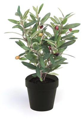 Produktbild von künstlicher Olivenbaum Bäumchen im Topf H. 35cm Emerald Topfpflanze