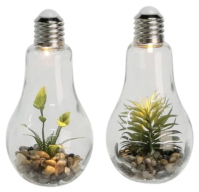 Produktbild von 2er Set LED Deko Glühbirne 22 cm mit Kunstpflanze und Steine Dekoration mit Licht