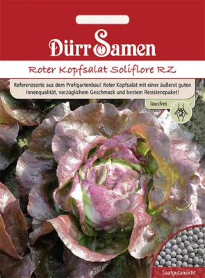 Produktbild von Dürr-Samen - Roter Kopfsalat Soliflore RZ - Saatgut - 4266